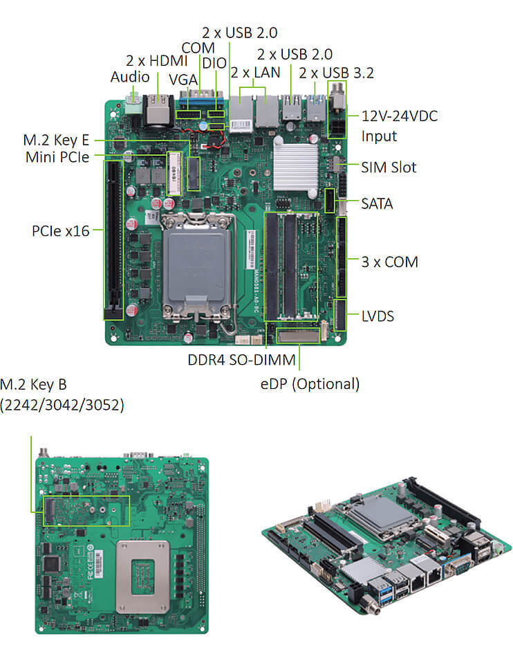 MANO561-1.jpg