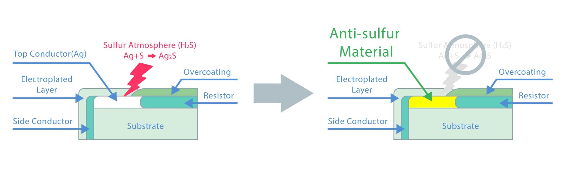 Occurrence area-3.jpg