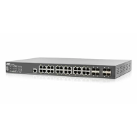 IGS-2408SM