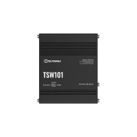 TSW101