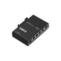 TSW010