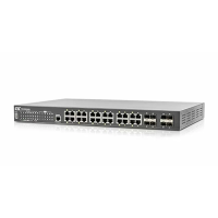 IGS-2408SM-24PH-AA
